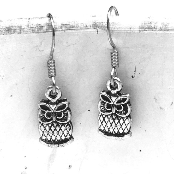 Miniature Tiny Cute Owl Owl Lovers Hypoallergenic Ear hooks Earrings - Picture 2 of 2